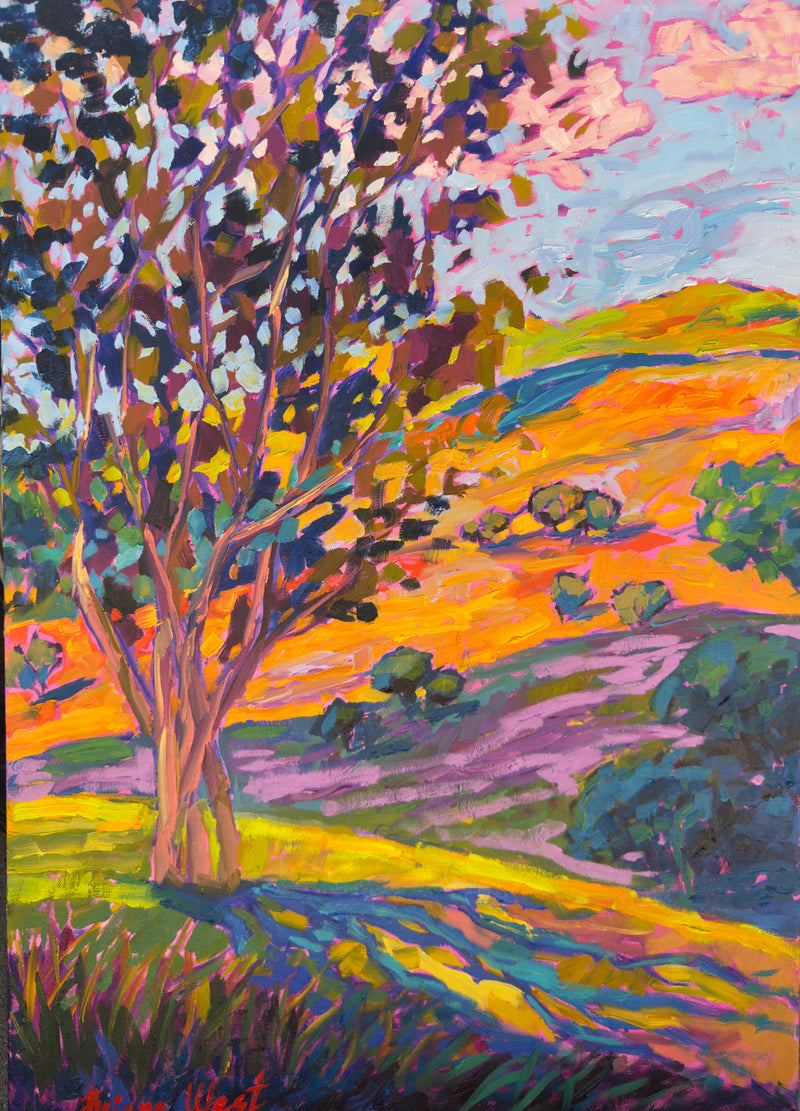 California Hills